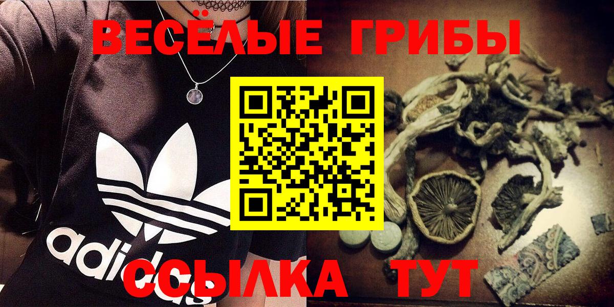 Псилоцибиновые грибы прущие грибы  где найти наркотики  Владикавказ  Вход с VPN 