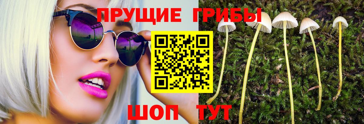 Псилоцибиновые грибы прущие грибы Владикавказ